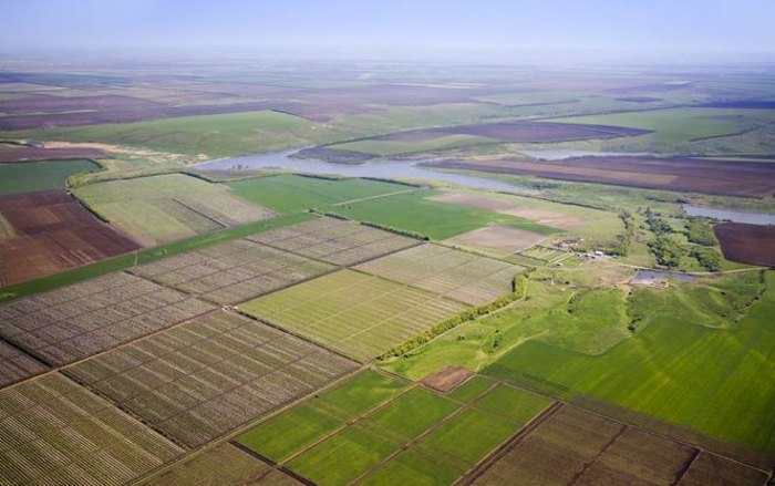 Як аграрні реформи вплинули на зайнятість у сільській місцевості